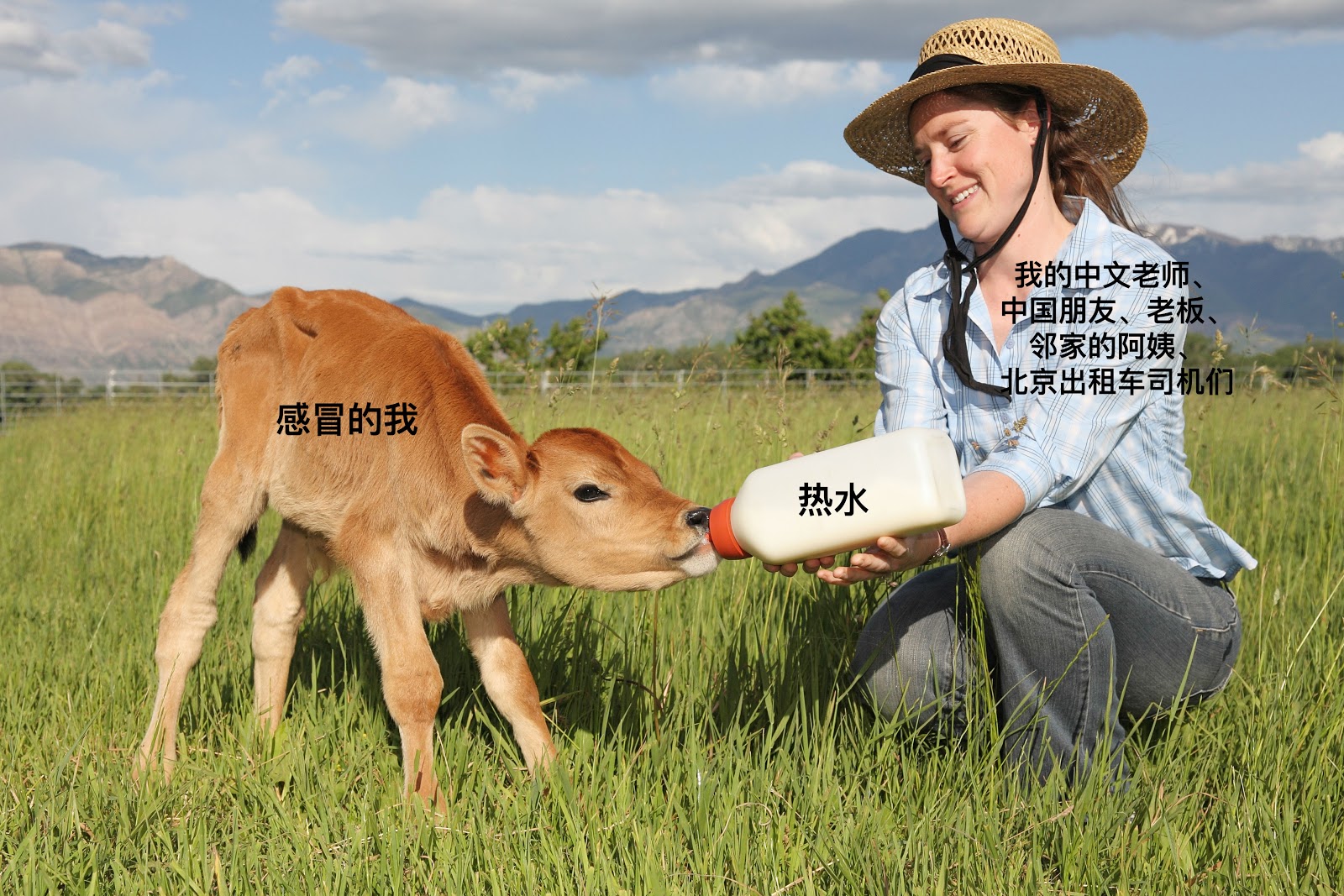 Image of woman bottle feeding a calf.