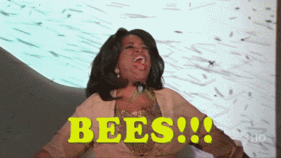 A .gif of Oprah Winfrey excitedly raising her arms as a swarm of bees flies everywhere.
