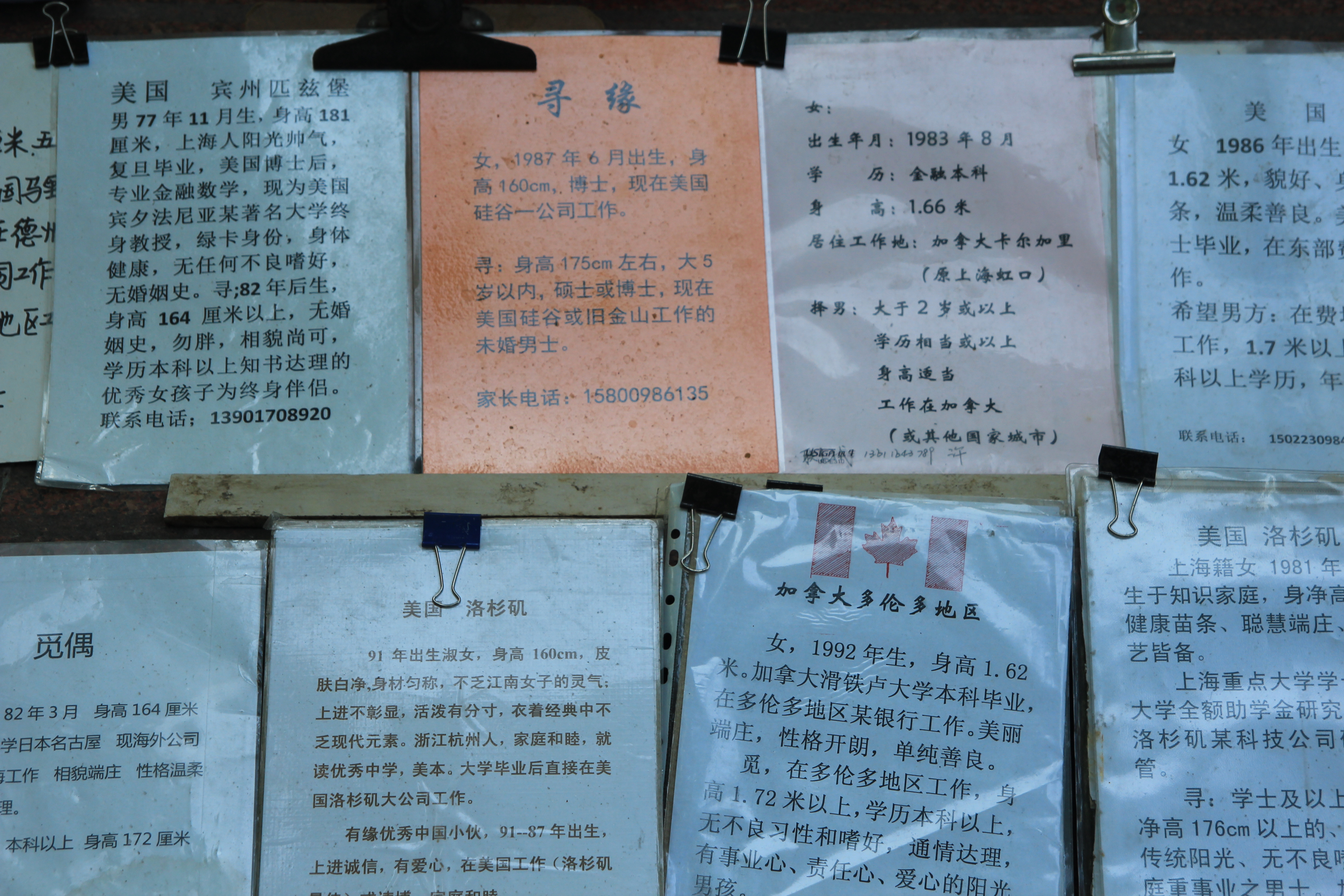 Personal ads posted at the Shanghai Marriage Market