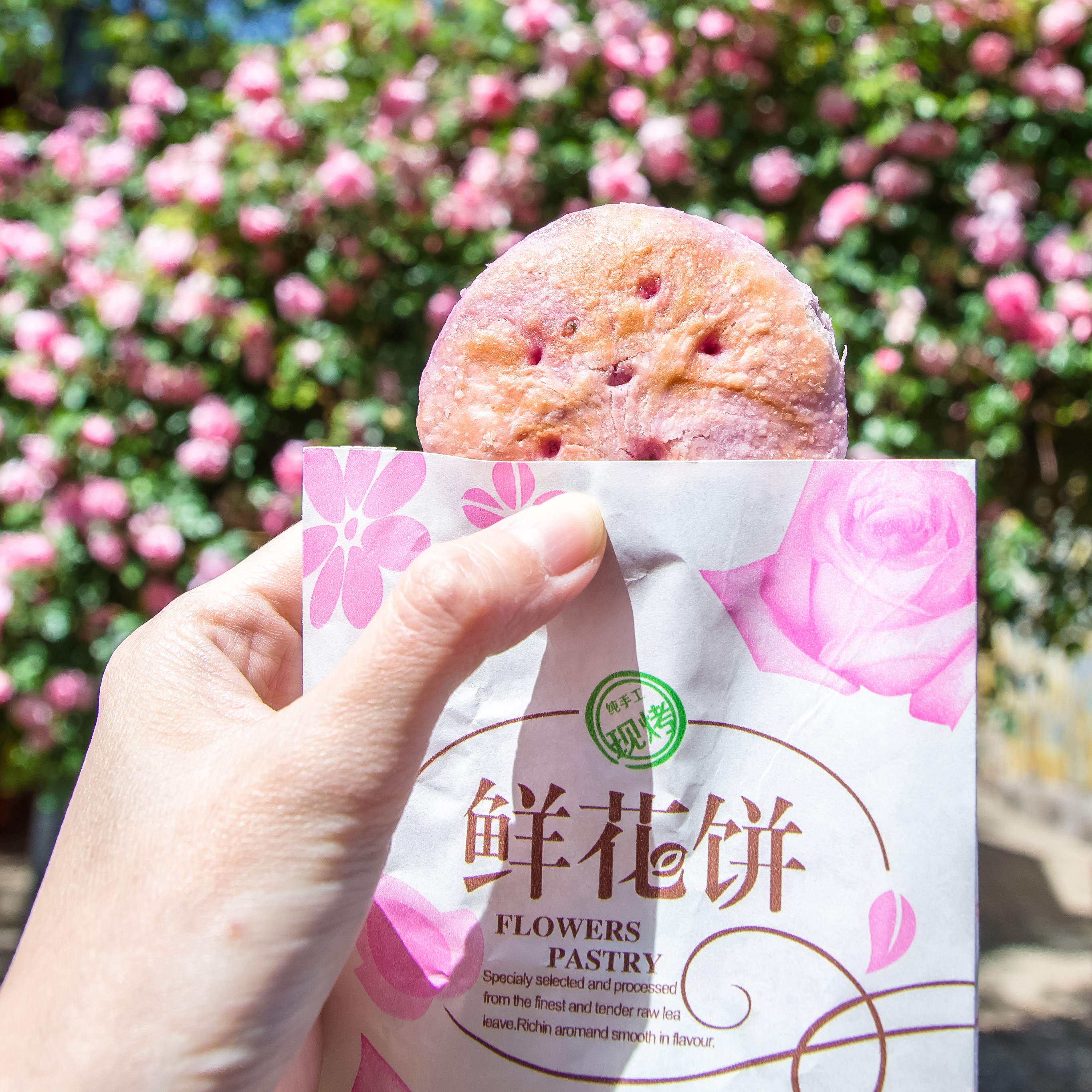 Hand holds up Yunnan flower pastry in front of flowering bush.