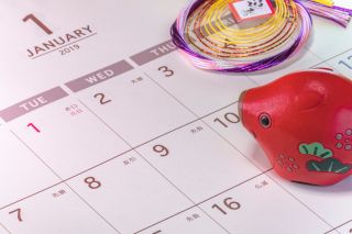 A boar figurine sits on a January 2019 calendar